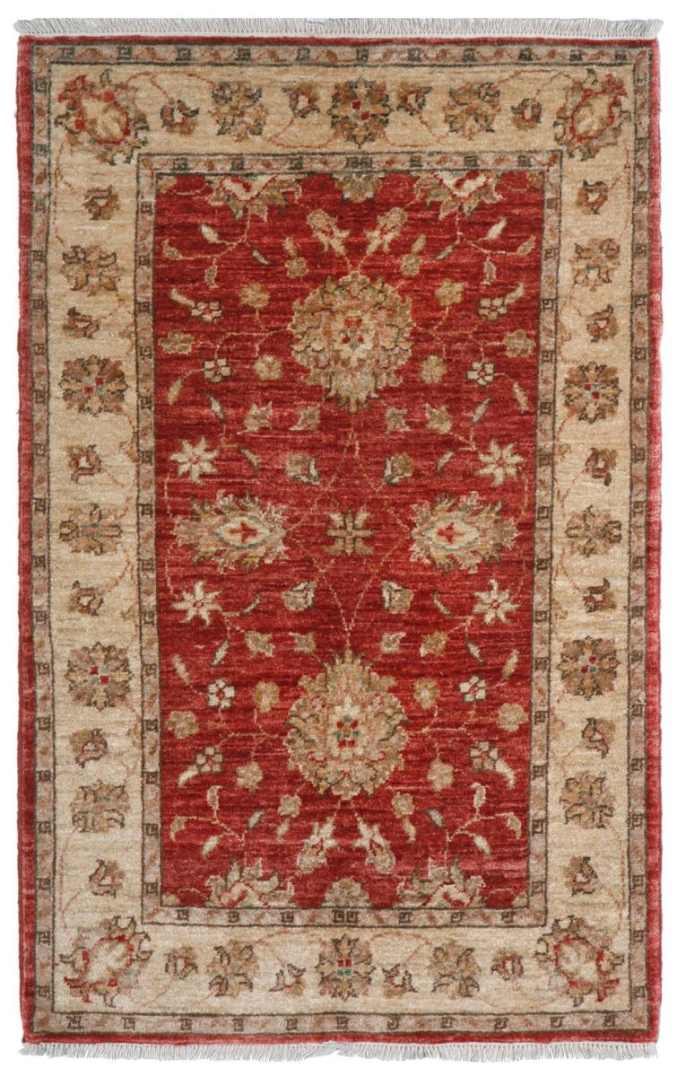 Aşiyan Carpet