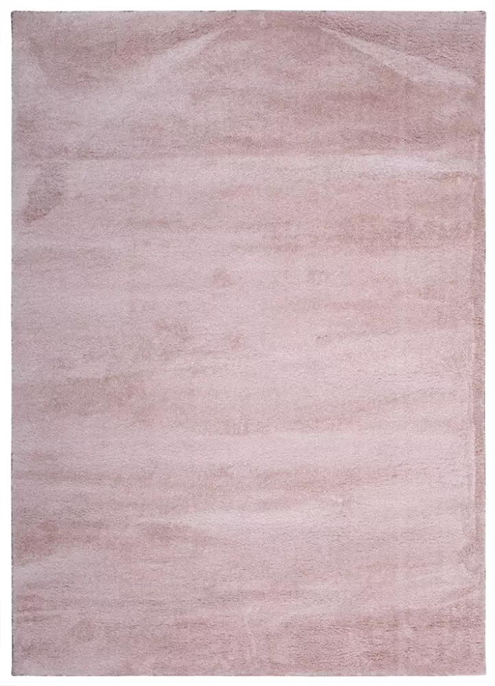 tampa-shagy-gülkurusu -1.jpg