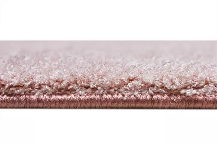 tampa-shagy-gülkurusu -4.jpg