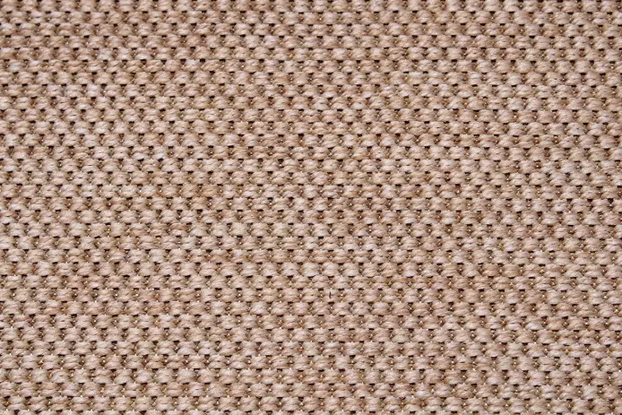 IMG_1153.webp